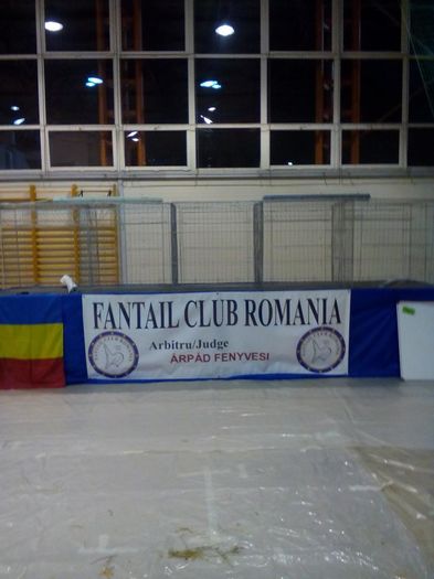 12366435_844722512314468_6662171850727118043_n - EXPO SPECIALIZATA FANTAIL CLUB ROMANIA