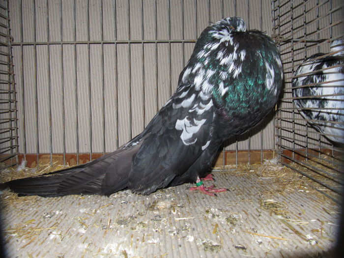 Leipzig 2015 296 - Expo Leipzig 2015