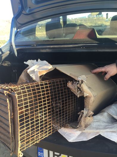 POZA LA DEBARCARE...TRANSPORTUL GRATIS - 000 DIHOR 2015 OARE ESTE ACELASI