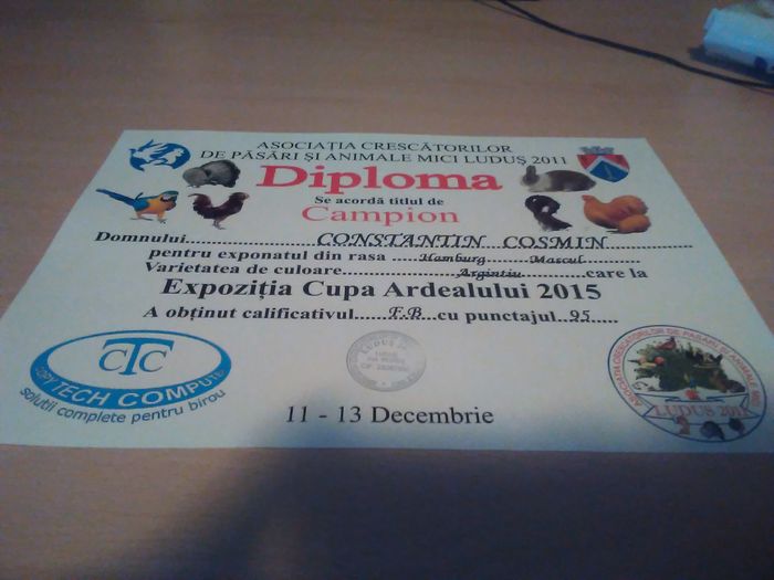 Ludus2015 - Cupe si diplome