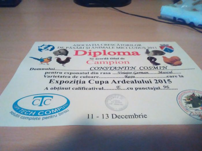 Ludus2015 - Cupe si diplome