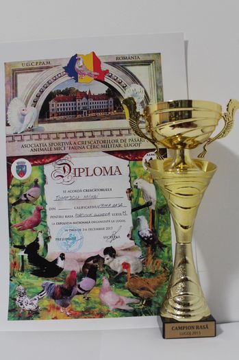 Expozitie națională 2015 - Cupe si diplome