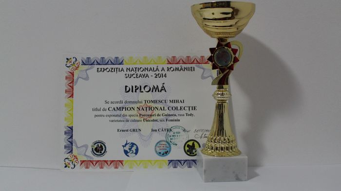 Expozitie națională 2014 - Cupe si diplome