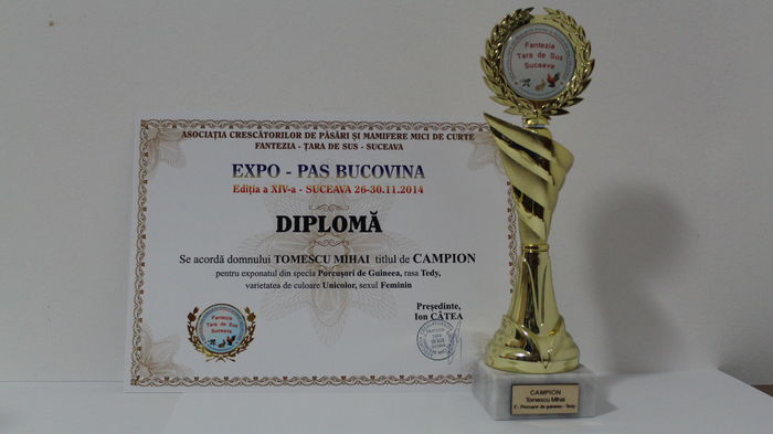 Expozitie locală 2014