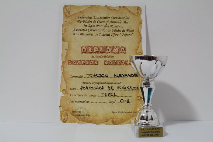 Expozitie națională 2013 - Cupe si diplome