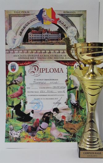 Expozitie națională 2015 - Cupe si diplome