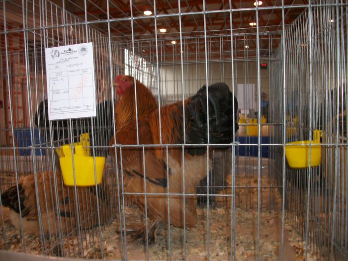 IMGP6132