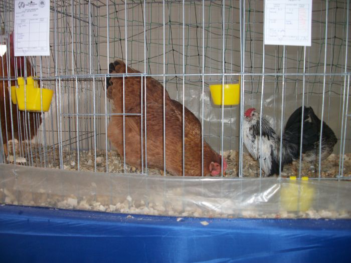 IMGP6137