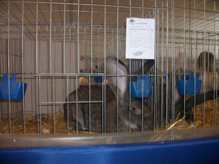 IMGP6141