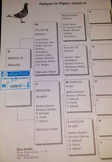 400619  15. F Columbodromu Delles Bucsani