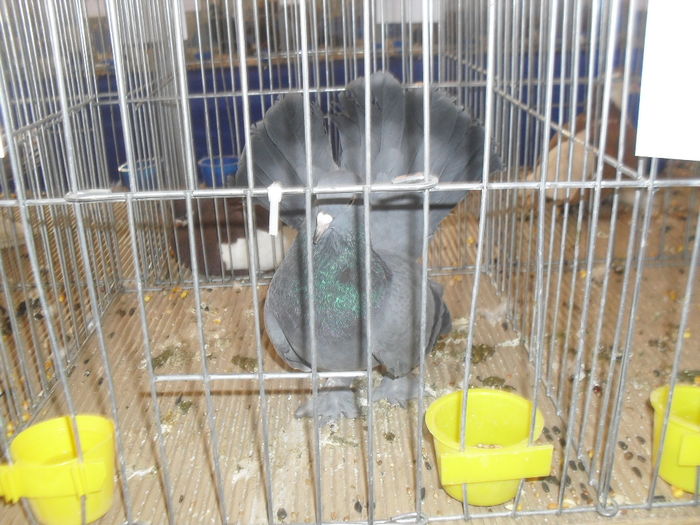 SDC10457