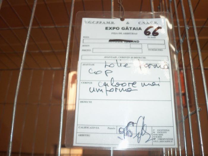 100_5298 - Pasarile mele in expo Gataia 2015