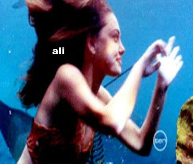 bandicam 2015-12-13 19-41-08-401