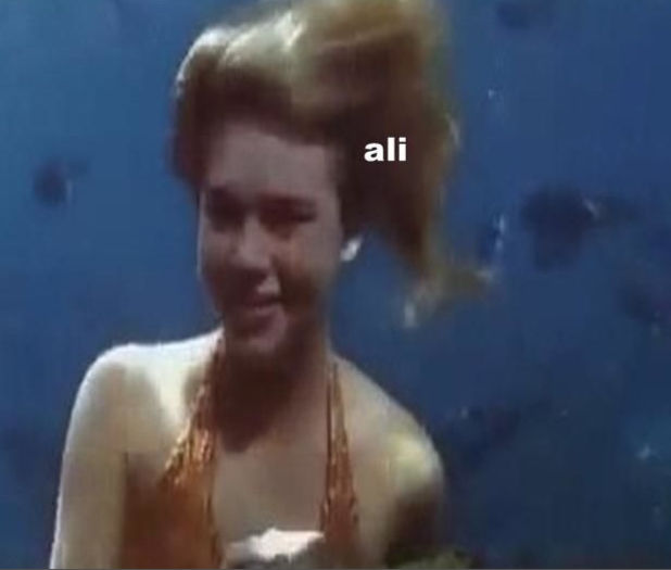 bandicam 2015-12-13 19-41-17-618