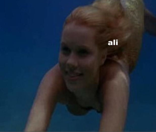 bandicam 2015-12-13 19-41-18-699