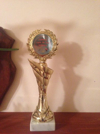 image - P A L M A R E S