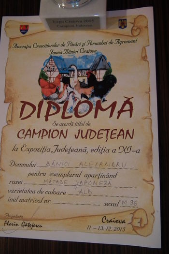 DSCF0827 - DIPLOME SI MEDALII