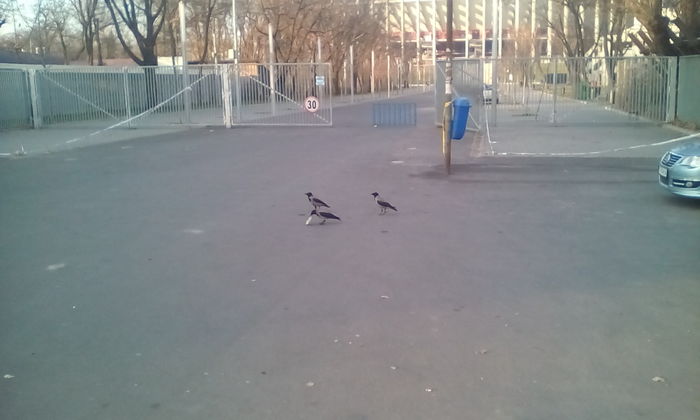 IMG_20151213_153556 - PLIMBARE DUMINICALA