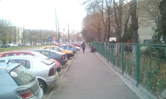 IMG_20151213_145845 - PLIMBARE DUMINICALA