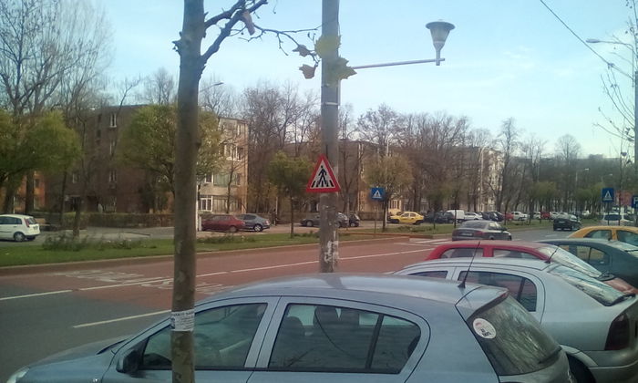 IMG_20151213_145836 - PLIMBARE DUMINICALA