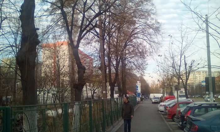 IMG_20151213_145817 - PLIMBARE DUMINICALA