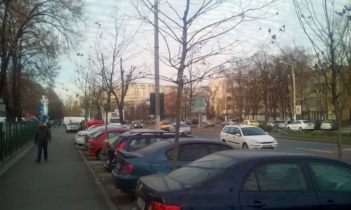 IMG_20151213_145812 - PLIMBARE DUMINICALA