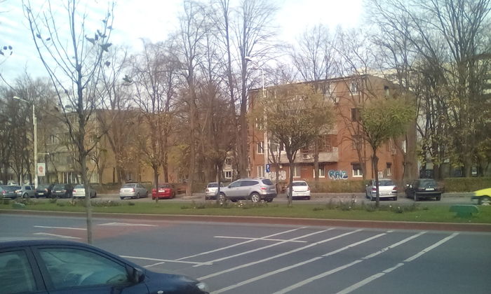 IMG_20151213_145809 - PLIMBARE DUMINICALA