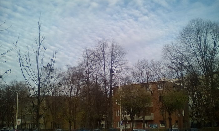 IMG_20151213_145806 - PLIMBARE DUMINICALA