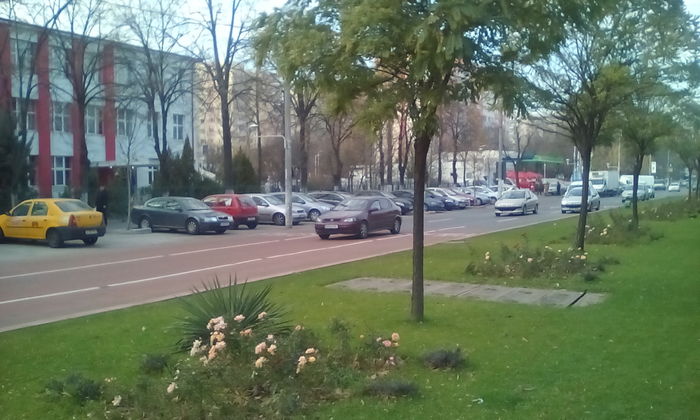 IMG_20151213_145516 - PLIMBARE DUMINICALA