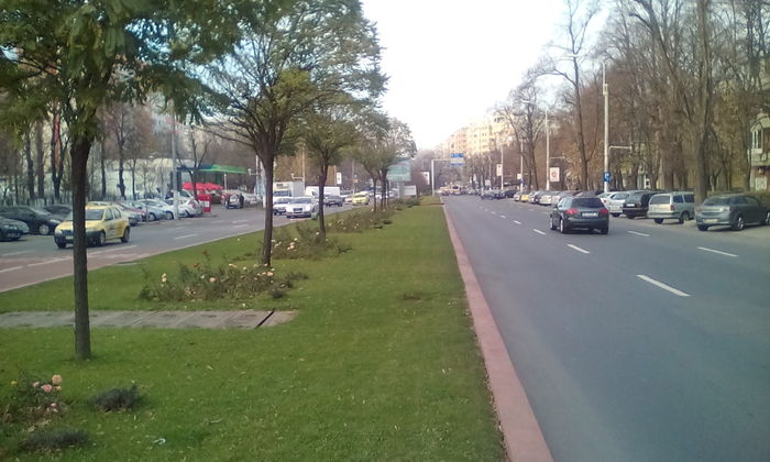 IMG_20151213_145510 - PLIMBARE DUMINICALA