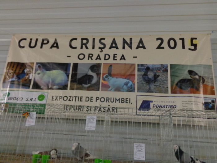 DSC02188 - Expo Cupa Crisana 2015