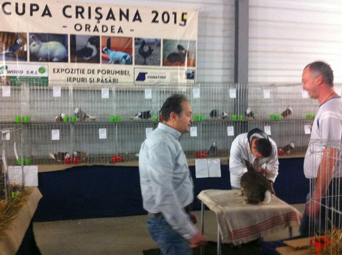 IMG_8822 - Expo Cupa Crisana 2015