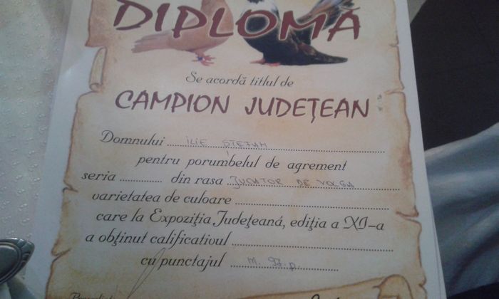 diploma volga