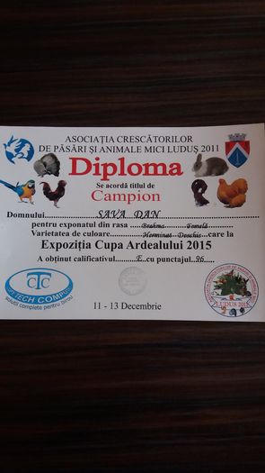 20151213_143429 - Epozitia Cupa Ardealului Ludus 2015