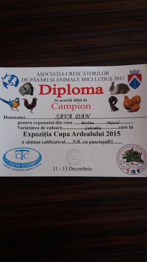 20151213_143407 - Epozitia Cupa Ardealului Ludus 2015