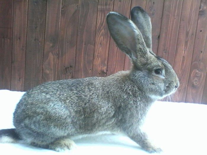 12358006_888284797914265_796405225_n(1)