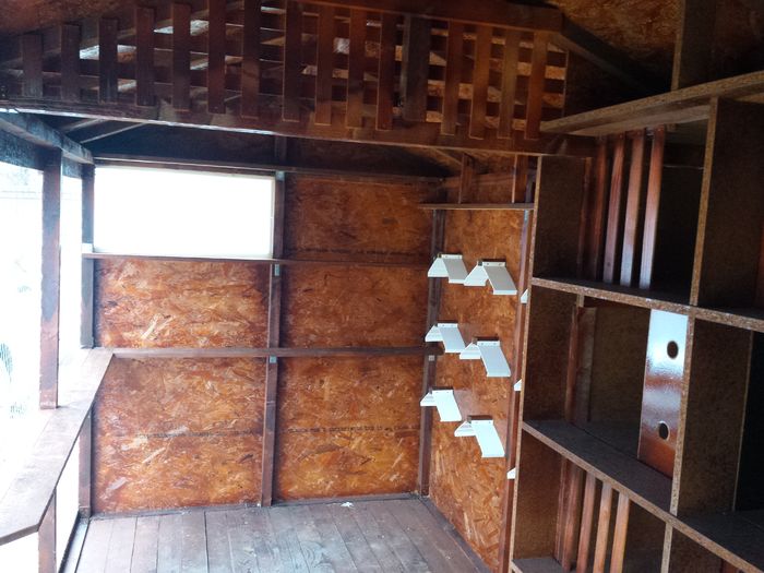 20151122_144636 - Voliera noua de la A la Z