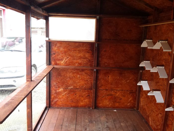 20151122_144726 - Voliera noua de la A la Z