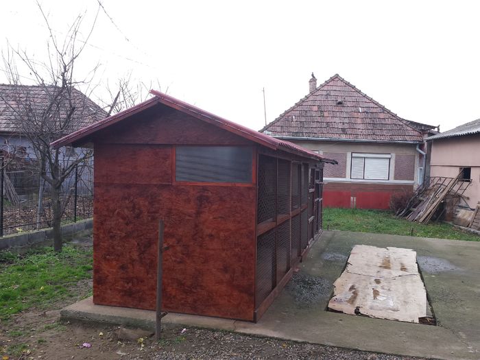 20151123_141316 - Voliera noua de la A la Z