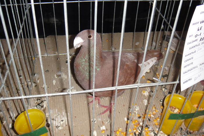 DSC01536