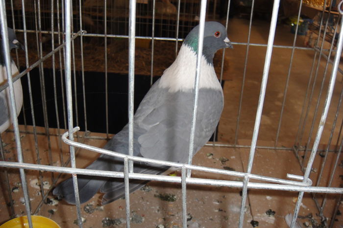 DSC01554