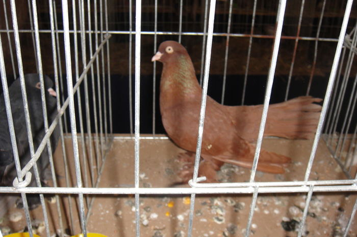 DSC01565