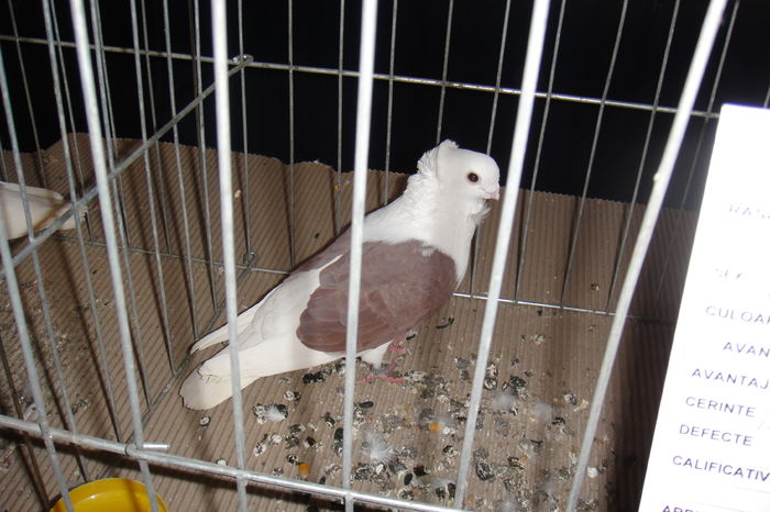 DSC01568
