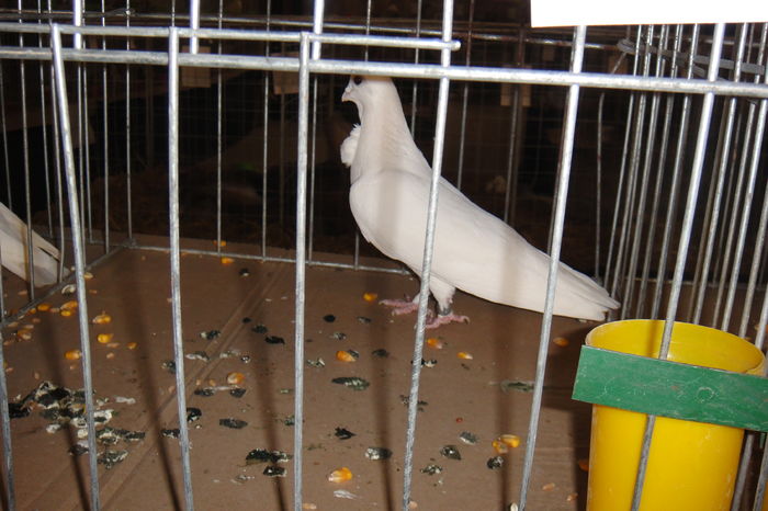 DSC01577