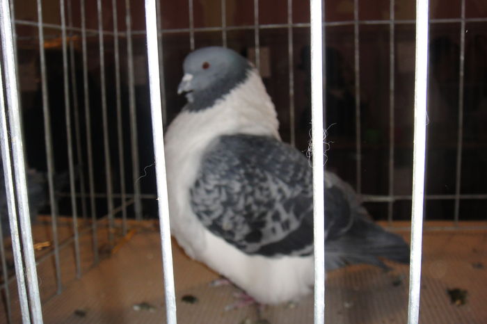 DSC01590