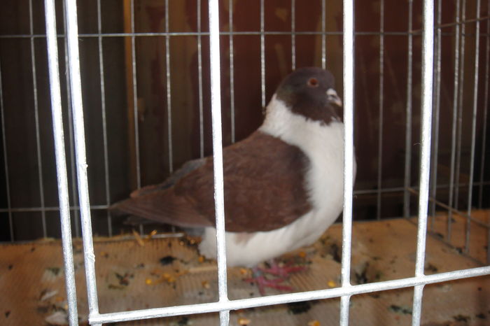 DSC01592