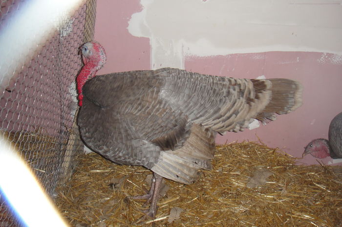 DSC01626
