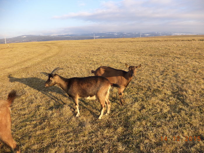 14 Decembrie cu soare