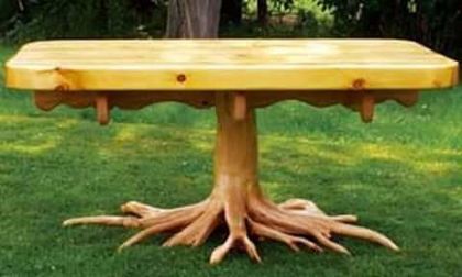 11401356_1027606033941207_4333534994698778707_n