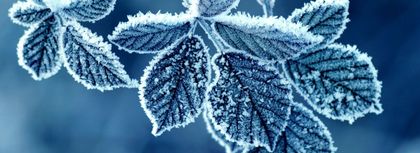 cold_winter_morning_frost_leaves-2560x1600-820x300 - LUNA DECEMBRIE 2015